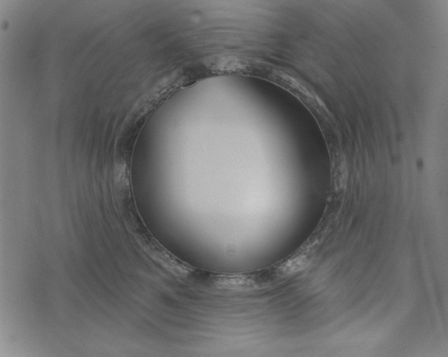 X0000073990521200609111536