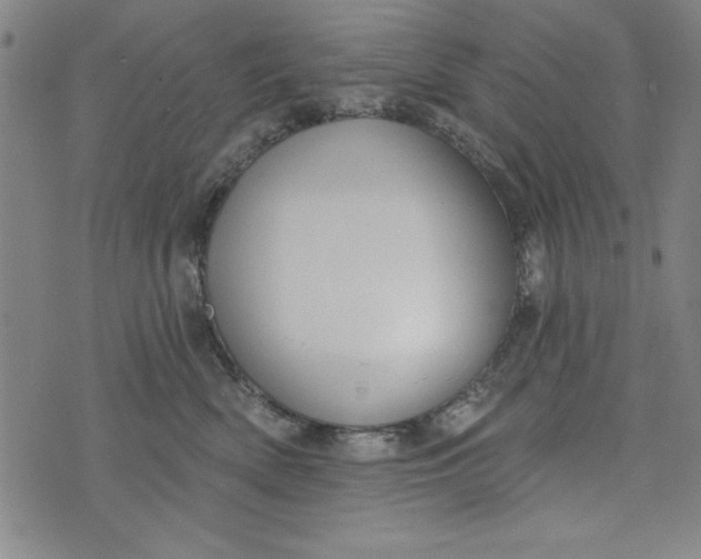 X0000073990522200609111536