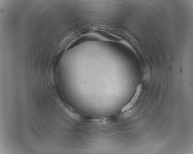 X0000073990524200609111536