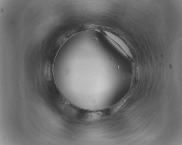 X0000073990525200609111536