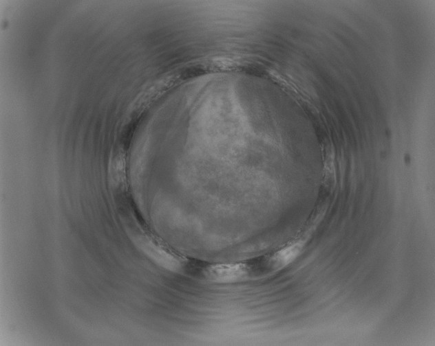 X0000073990526200609111536