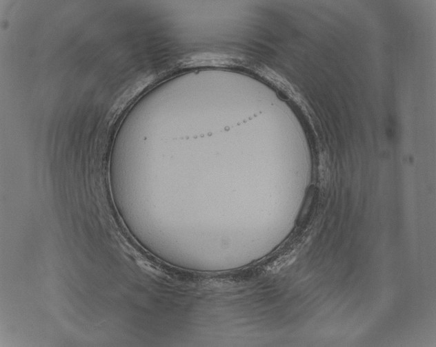 X0000073990529200609111535