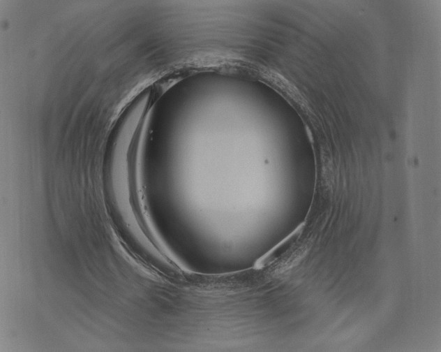 X0000073990530200609111535