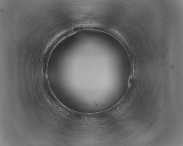 X0000073990531200609111535