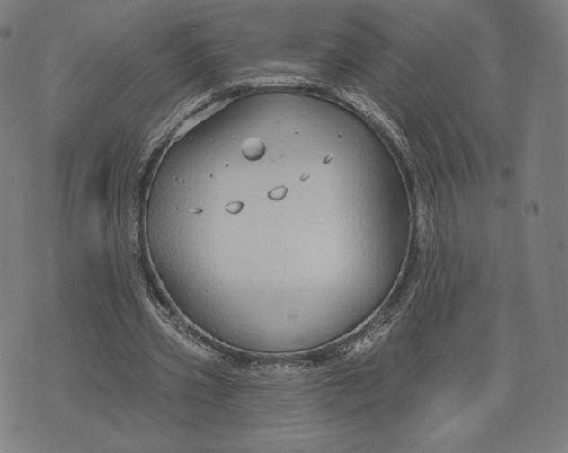 X0000073990533200609111535