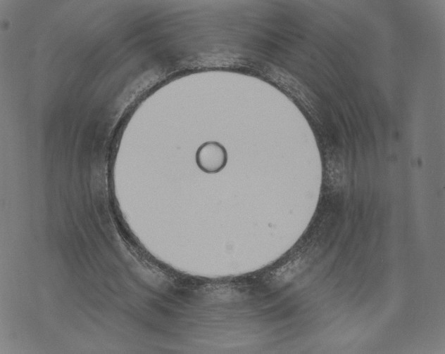 X0000073990534200609111535