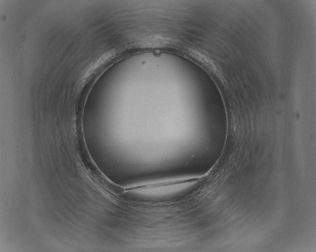 X0000073990535200609111535