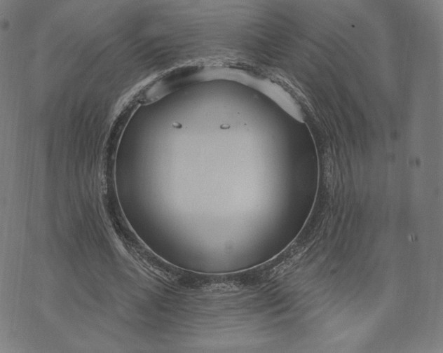 X0000073990536200609111535