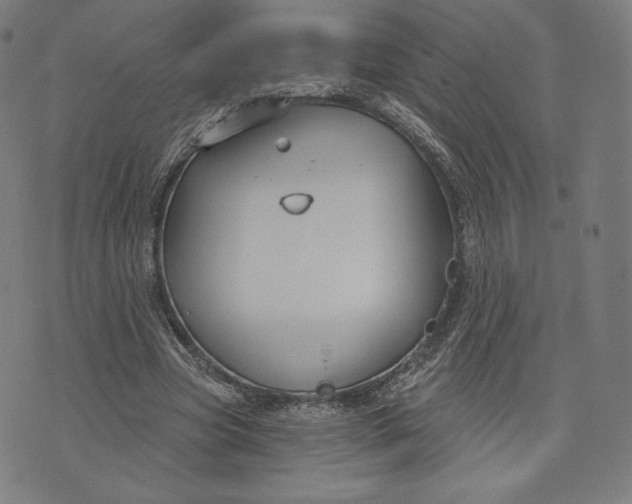 X0000073990537200609111535