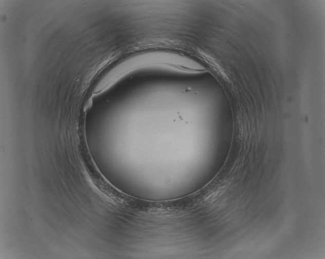 X0000073990538200609111536