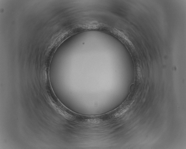 X0000073990541200609111536