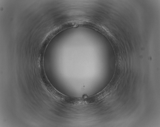 X0000073990543200609111536