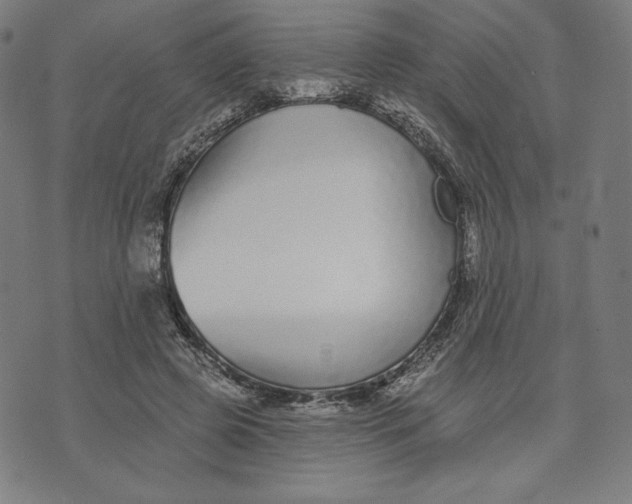 X0000073990545200609111536