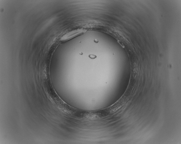 X0000073990547200609111536