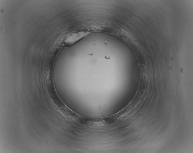 X0000073990548200609111536