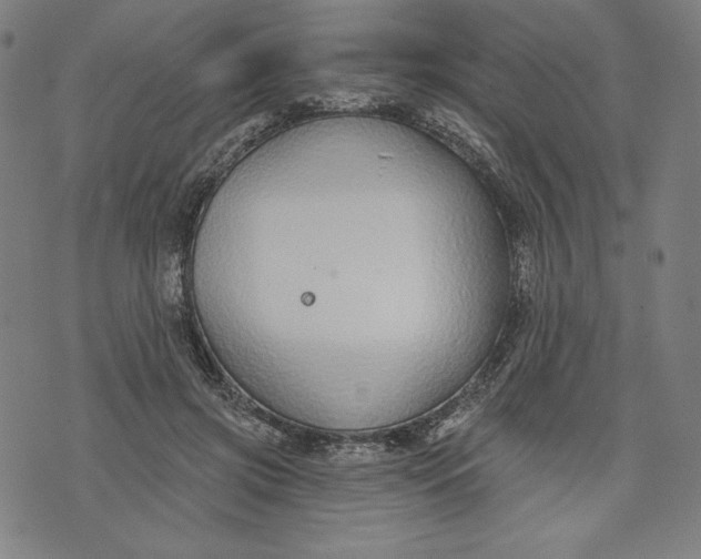 X0000073990549200609111536