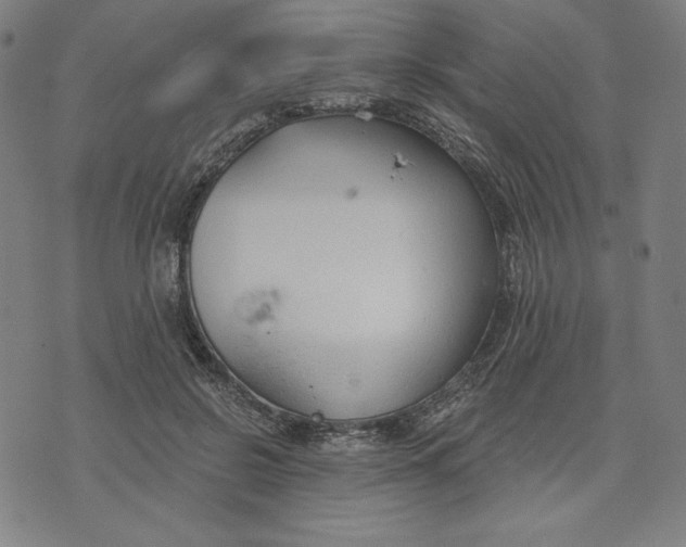 X0000073990550200609111536