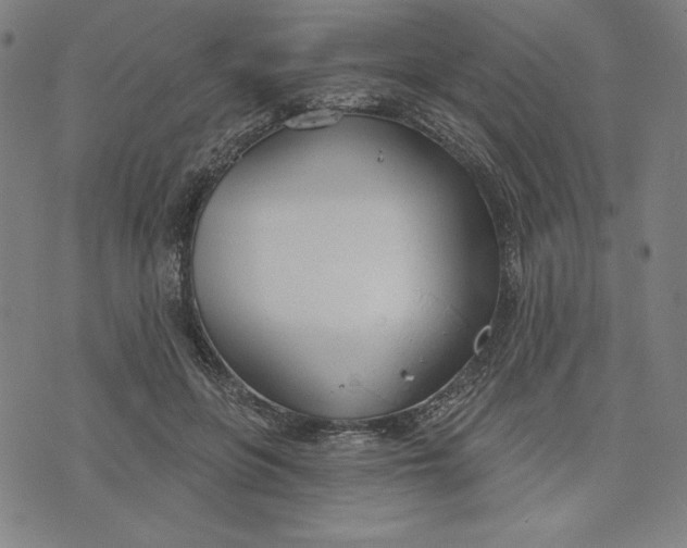 X0000073990551200609111536