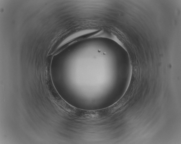 X0000073990552200609111536