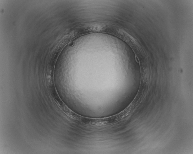 X0000073990553200609111536