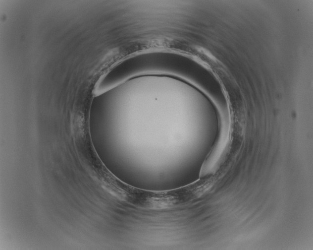 X0000073990556200609111536