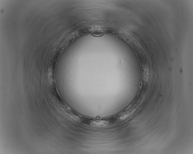 X0000073990557200609111536