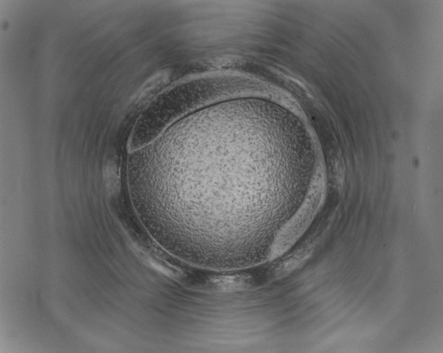 X0000073990558200609111536