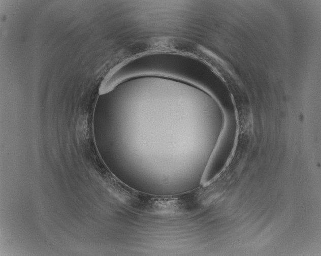 X0000073990560200609111536