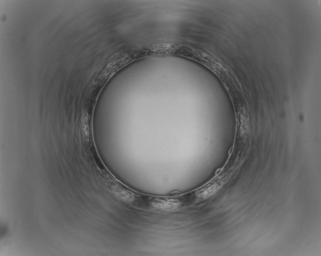 X0000073990561200609111536