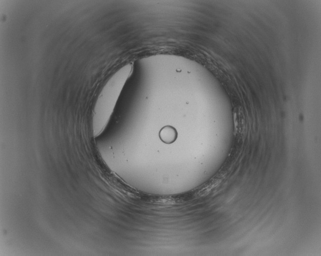 X0000073990562200609111536