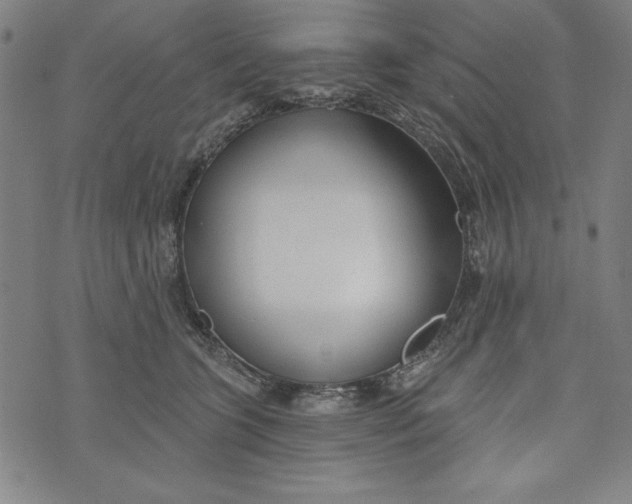 X0000073990563200609111536