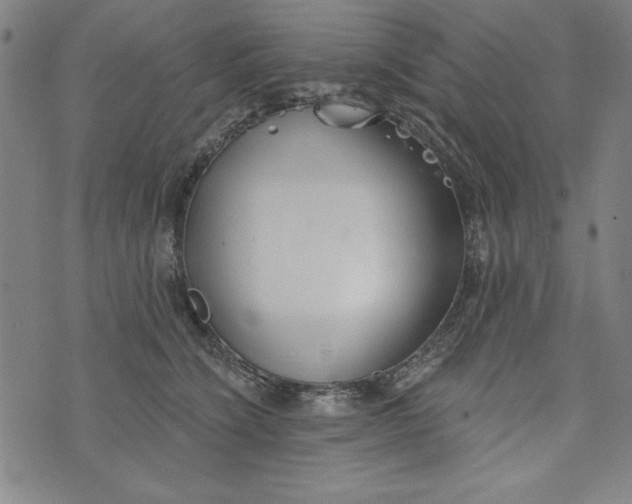 X0000073990564200609111536