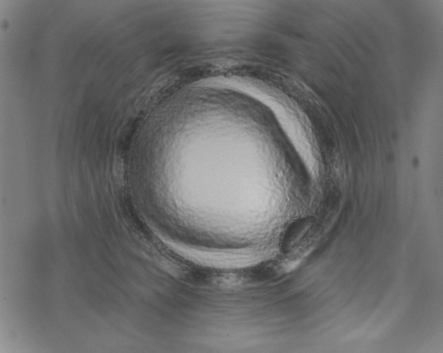 X0000073990565200609111536