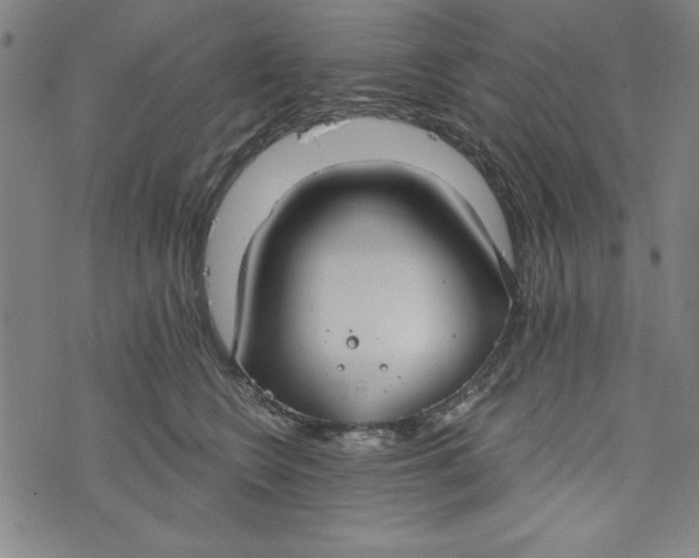 X0000073990566200609111536