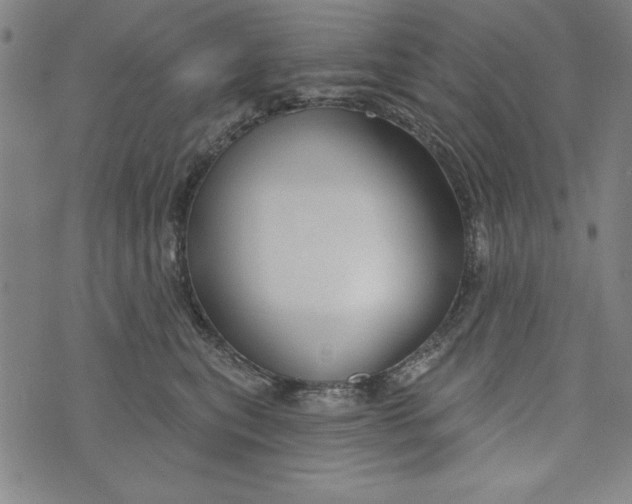 X0000073990567200609111536