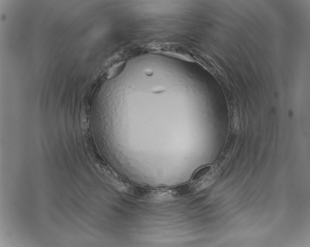 X0000073990569200609111536