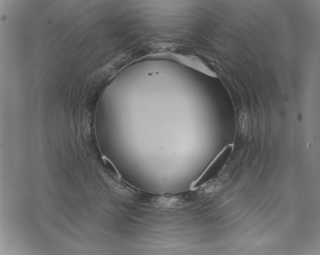 X0000073990570200609111536