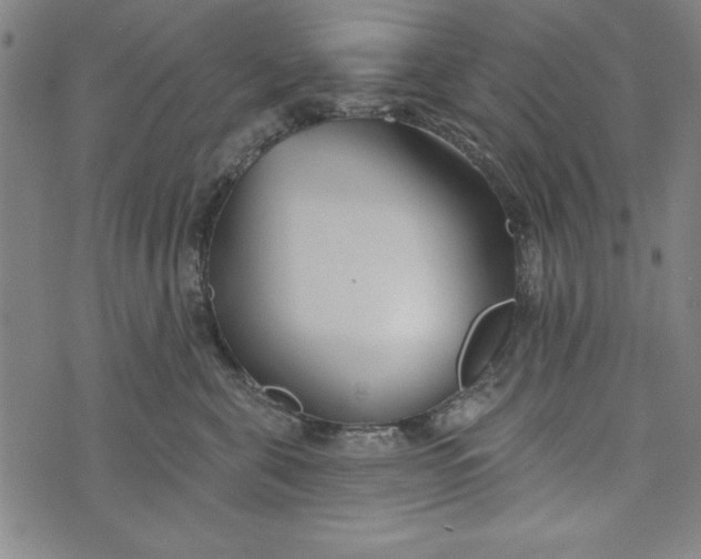 X0000073990571200609111536