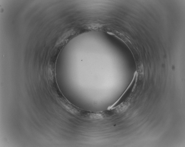 X0000073990572200609111536