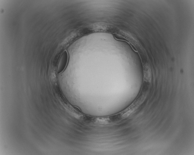 X0000073990573200609111536