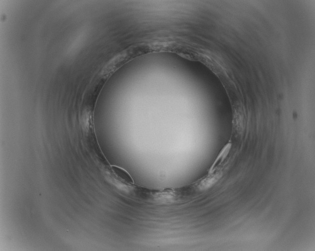 X0000073990574200609111536