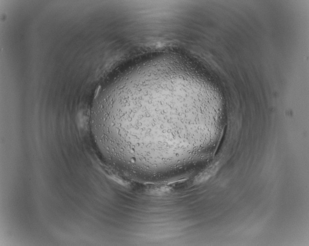 X0000073990576200609111536