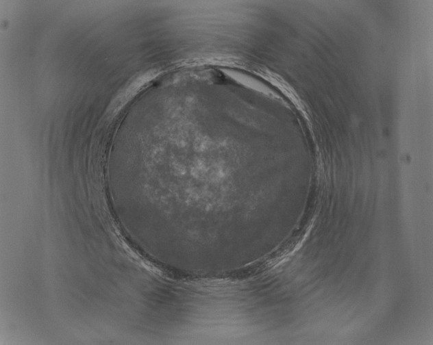 X0000073990577200609111535