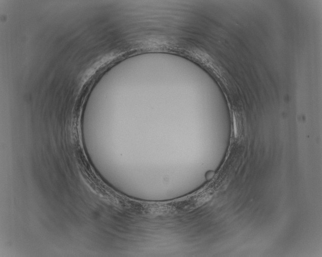 X0000073990579200609111535