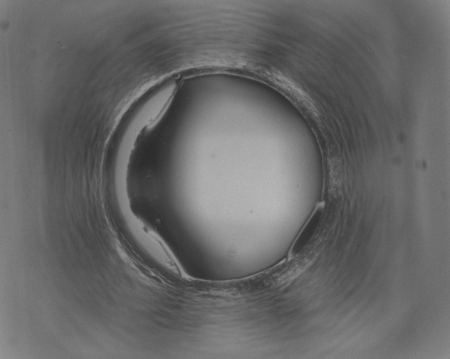 X0000073990580200609111535