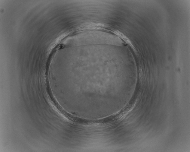 X0000073990581200609111535