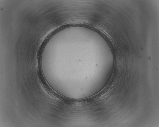 X0000073990584200609111535