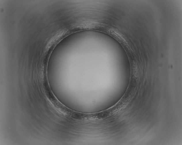 X0000073990586200609111535