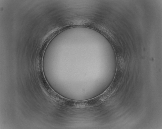 X0000073990587200609111535