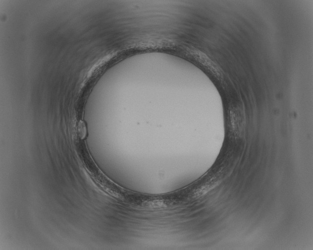 X0000073990588200609111535